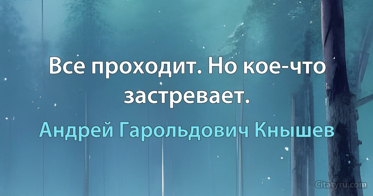 Все проходит. Но кое-что застревает. (Андрей Гарольдович Кнышев)