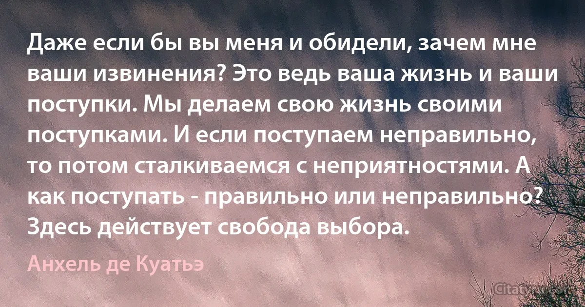 Даже если бы вы меня и обидели, зачем мне ваши извинения? Это ведь ваша жизнь и ваши поступки. Мы делаем свою жизнь своими поступками. И если поступаем неправильно, то потом сталкиваемся с неприятностями. А как поступать - правильно или неправильно? Здесь действует свобода выбора. (Анхель де Куатьэ)