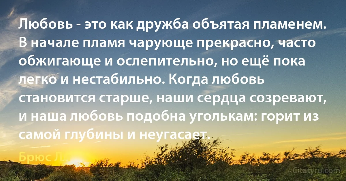 Любовь - это как дружба объятая пламенем. В начале пламя чарующе прекрасно, часто обжигающе и ослепительно, но ещё пока легко и нестабильно. Когда любовь становится старше, наши сердца созревают, и наша любовь подобна уголькам: горит из самой глубины и неугасает. (Брюс Ли)