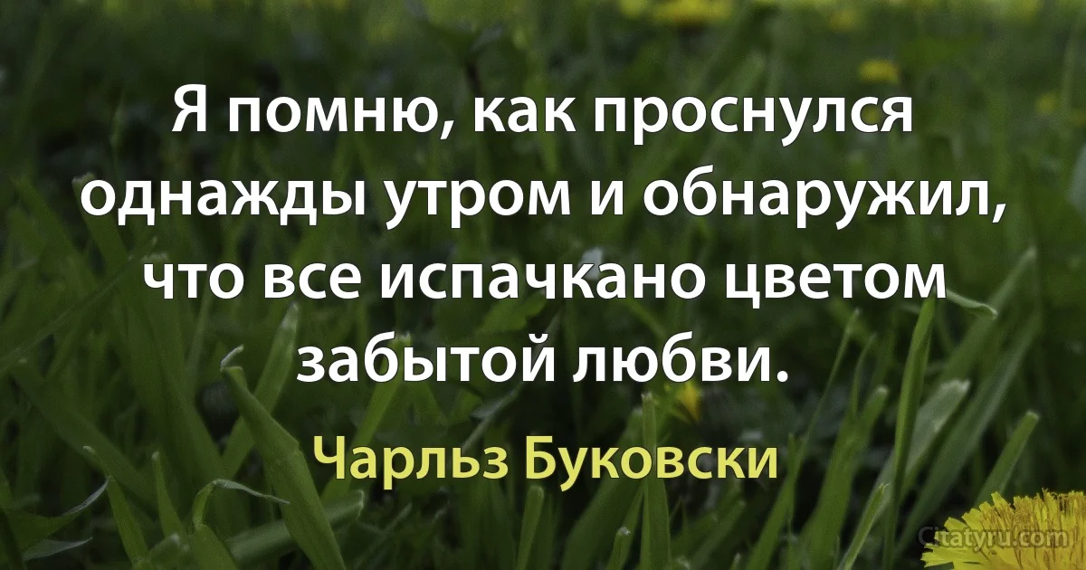 Я помню, как проснулся однажды утром и обнаружил, что все испачкано цветом забытой любви. (Чарльз Буковски)