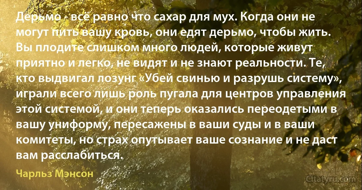 Дерьмо - всё равно что сахар для мух. Когда они не могут пить вашу кровь, они едят дерьмо, чтобы жить. Вы плодите слишком много людей, которые живут приятно и легко, не видят и не знают реальности. Те, кто выдвигал лозунг «Убей свинью и разрушь систему», играли всего лишь роль пугала для центров управления этой системой, и они теперь оказались переодетыми в вашу униформу, пересажены в ваши суды и в ваши комитеты, но страх опутывает ваше сознание и не даст вам расслабиться. (Чарльз Мэнсон)