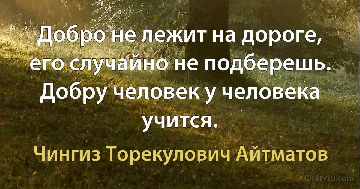 Добро не лежит на дороге, его случайно не подберешь. Добру человек у человека учится. (Чингиз Торекулович Айтматов)