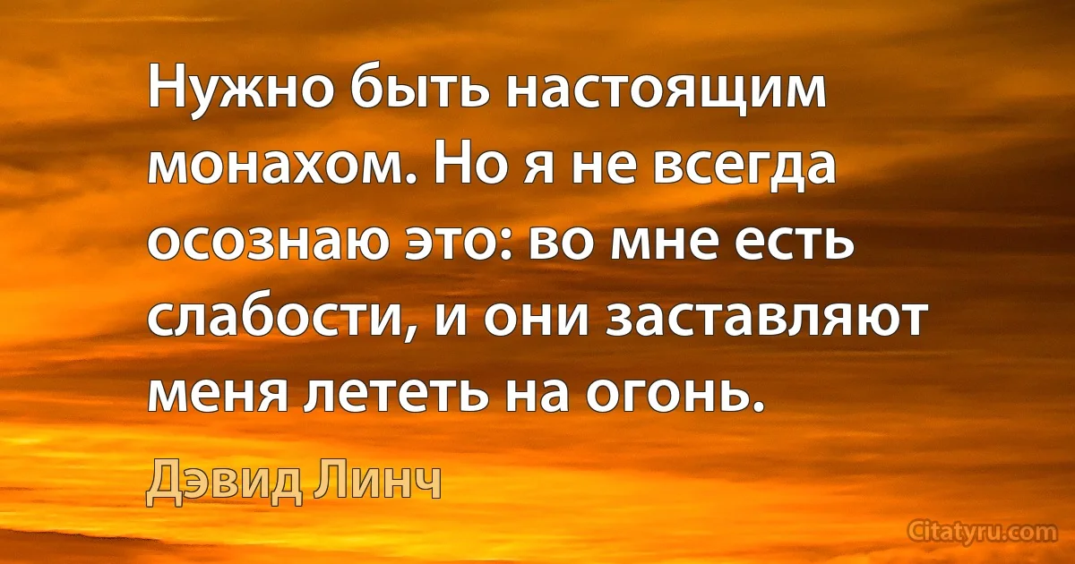 Нужно быть настоящим монахом. Но я не всегда осознаю это: во мне есть слабости, и они заставляют меня лететь на огонь. (Дэвид Линч)