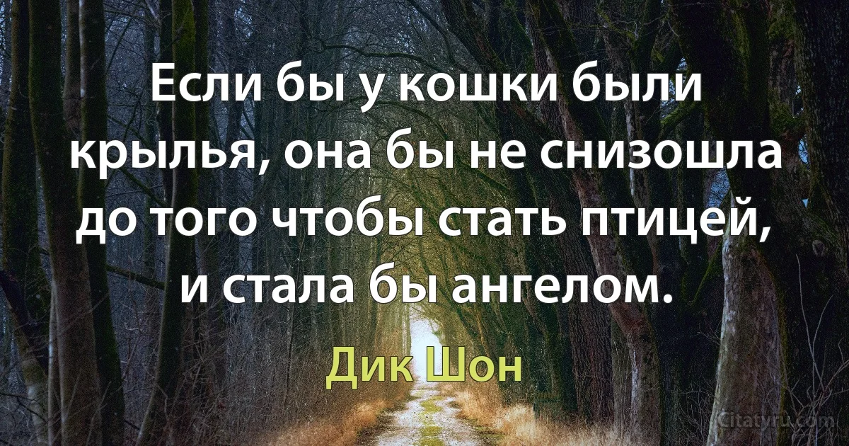 Если бы у кошки были крылья, она бы не снизошла до того чтобы стать птицей, и стала бы ангелом. (Дик Шон)