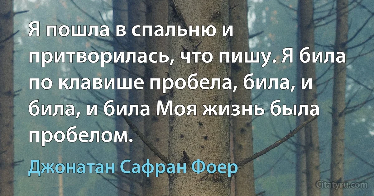 Я пошла в спальню и притворилась, что пишу. Я била по клавише пробела, била, и била, и била Моя жизнь была пробелом. (Джонатан Сафран Фоер)