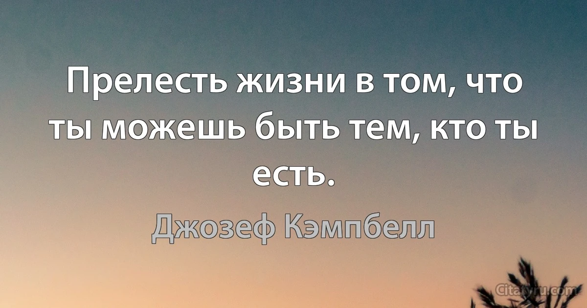 Прелесть жизни в том, что ты можешь быть тем, кто ты есть. (Джозеф Кэмпбелл)