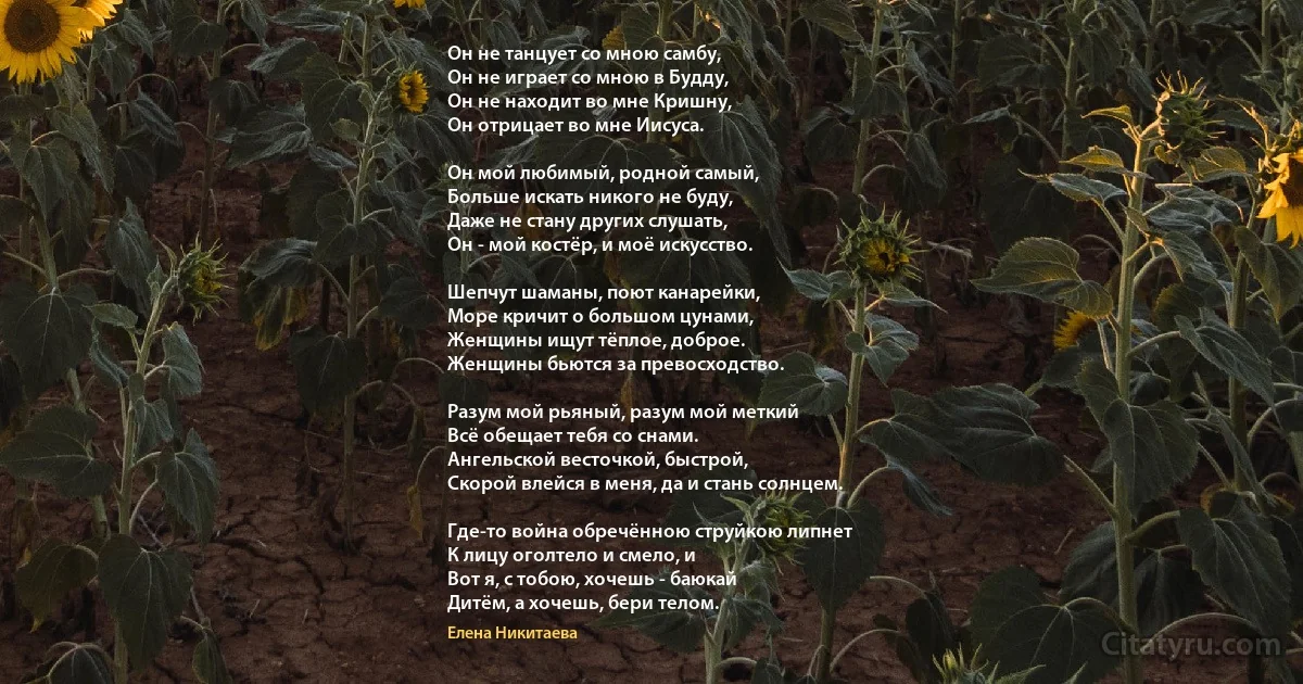 Он не танцует со мною самбу, 
Он не играет со мною в Будду, 
Он не находит во мне Кришну, 
Он отрицает во мне Иисуса. 

Он мой любимый, родной самый,
Больше искать никого не буду, 
Даже не стану других слушать, 
Он - мой костёр, и моё искусство. 

Шепчут шаманы, поют канарейки, 
Море кричит о большом цунами,
Женщины ищут тёплое, доброе.
Женщины бьются за превосходство. 

Разум мой рьяный, разум мой меткий
Всё обещает тебя со снами. 
Ангельской весточкой, быстрой,
Скорой влейся в меня, да и стань солнцем.

Где-то война обречённою струйкою липнет
К лицу оголтело и смело, и 
Вот я, с тобою, хочешь - баюкай 
Дитём, а хочешь, бери телом. (Елена Никитаева)