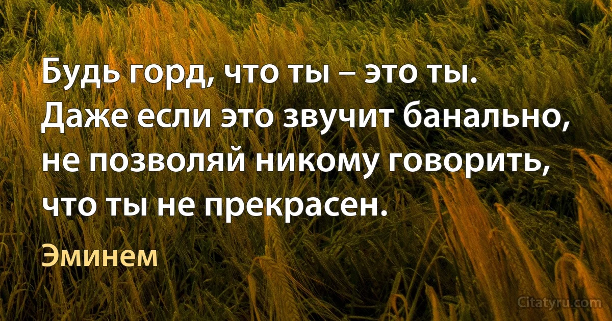 Будь горд, что ты – это ты. Даже если это звучит банально, не позволяй никому говорить, что ты не прекрасен. (Эминем)