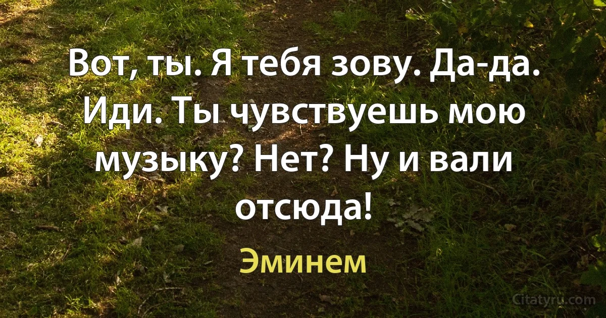 Вот, ты. Я тебя зову. Да-да. Иди. Ты чувствуешь мою музыку? Нет? Ну и вали отсюда! (Эминем)