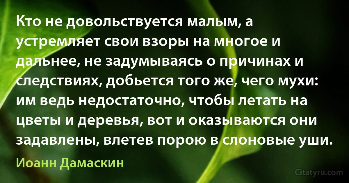 Кто не довольствуется малым, а устремляет свои взоры на многое и дальнее, не задумываясь о причинах и следствиях, добьется того же, чего мухи: им ведь недостаточно, чтобы летать на цветы и деревья, вот и оказываются они задавлены, влетев порою в слоновые уши. (Иоанн Дамаскин)