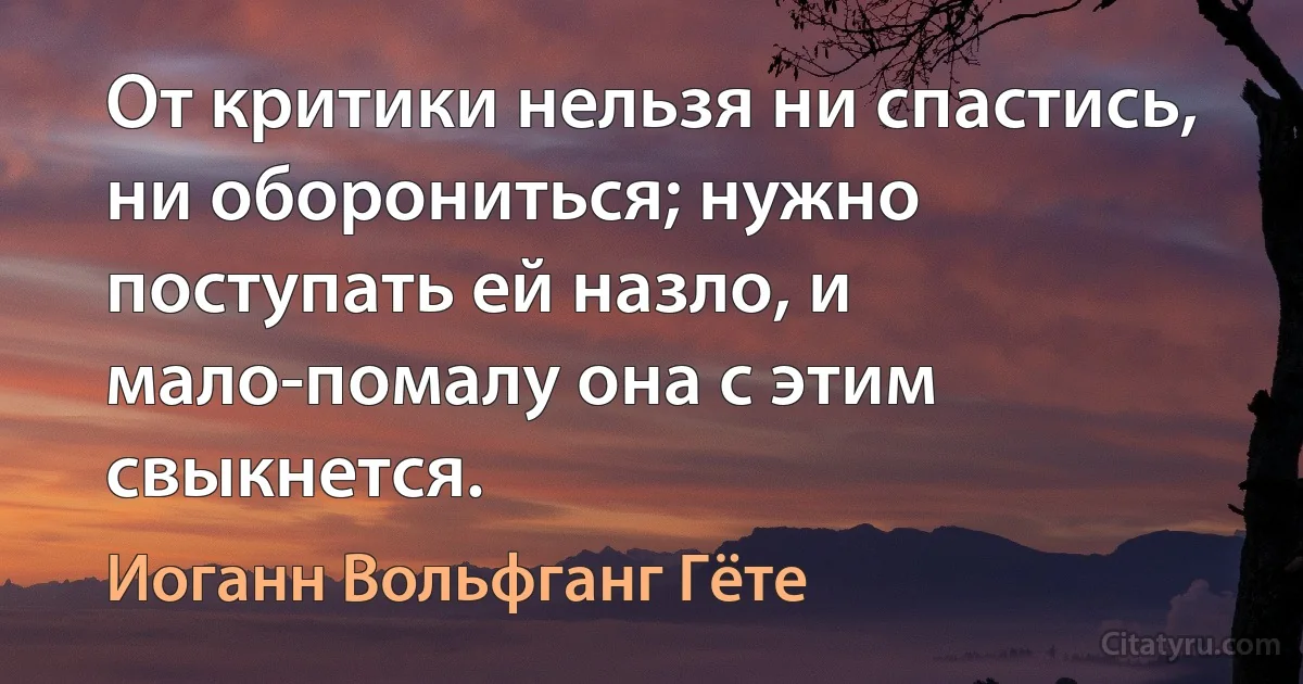 От критики нельзя ни спастись, ни оборониться; нужно поступать ей назло, и мало-помалу она с этим свыкнется. (Иоганн Вольфганг Гёте)