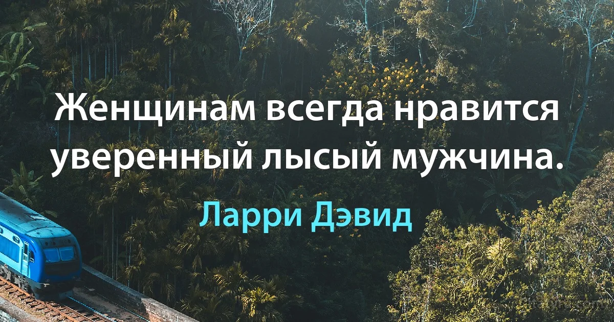 Женщинам всегда нравится уверенный лысый мужчина. (Ларри Дэвид)