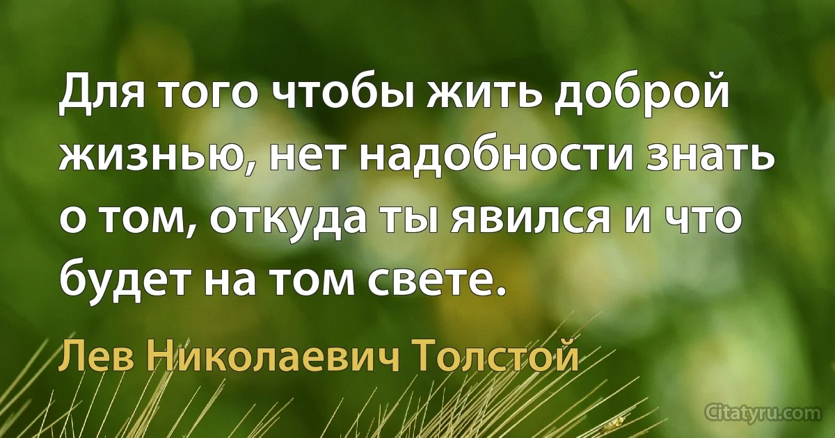 Для того чтобы жить доброй жизнью, нет надобности знать о том, откуда ты явился и что будет на том свете. (Лев Николаевич Толстой)