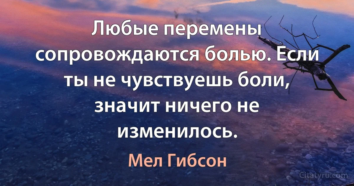 Любые перемены сопровождаются болью. Если ты не чувствуешь боли, значит ничего не изменилось. (Мел Гибсон)