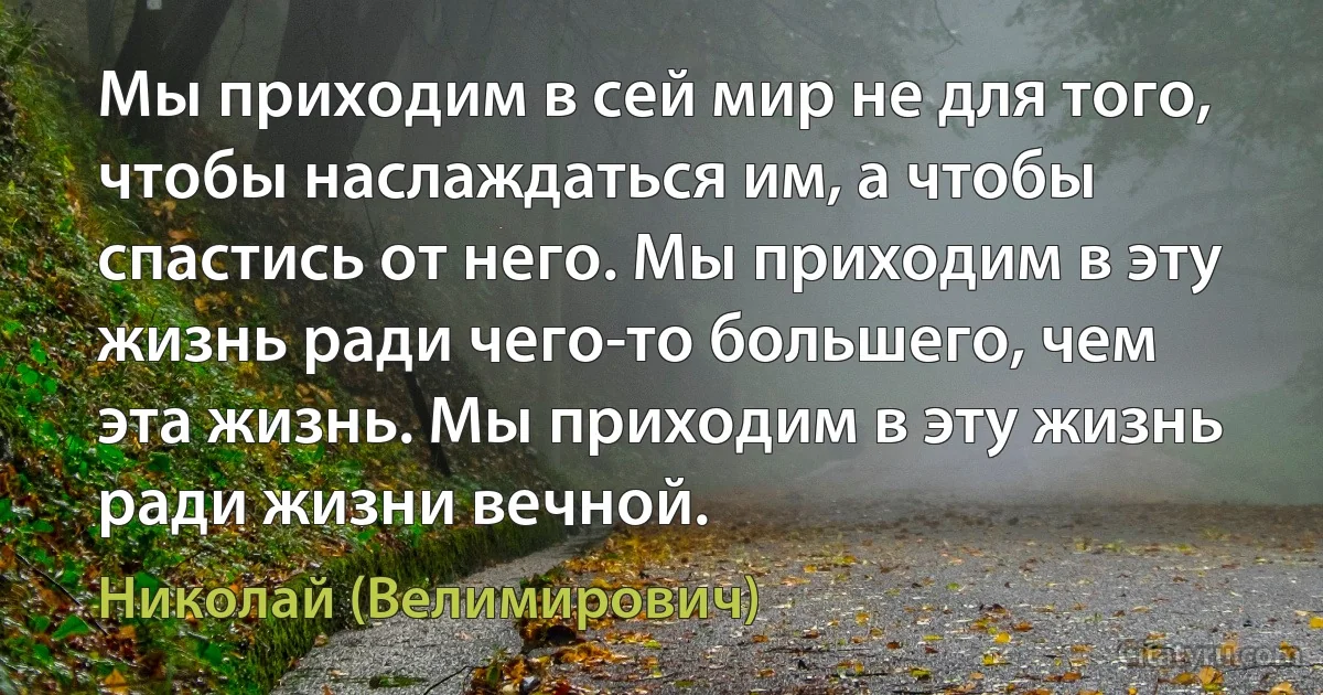Мы приходим в сей мир не для того, чтобы наслаждаться им, а чтобы спастись от него. Мы приходим в эту жизнь ради чего-то большего, чем эта жизнь. Мы приходим в эту жизнь ради жизни вечной. (Николай (Велимирович))