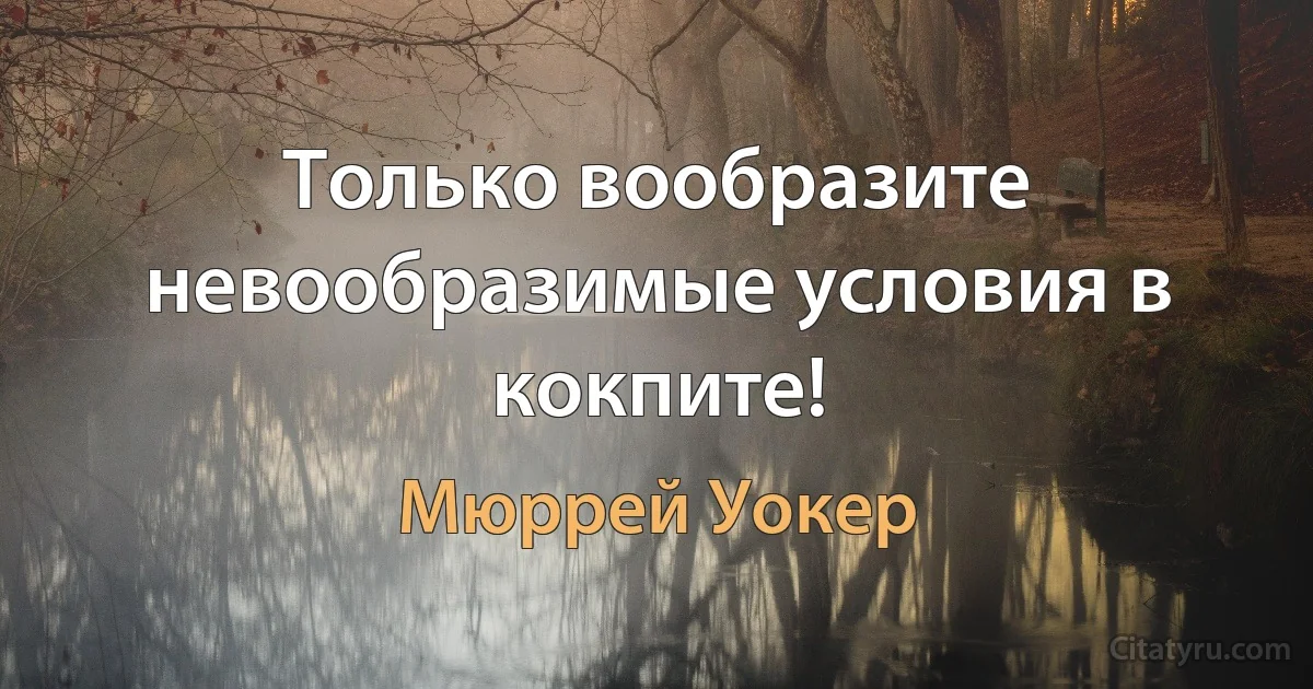 Только вообразите невообразимые условия в кокпите! (Мюррей Уокер)