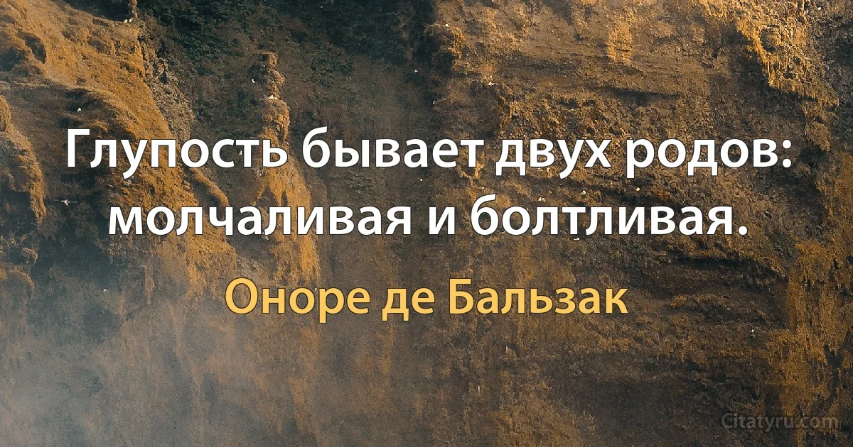 Глупость бывает двух родов: молчаливая и болтливая. (Оноре де Бальзак)