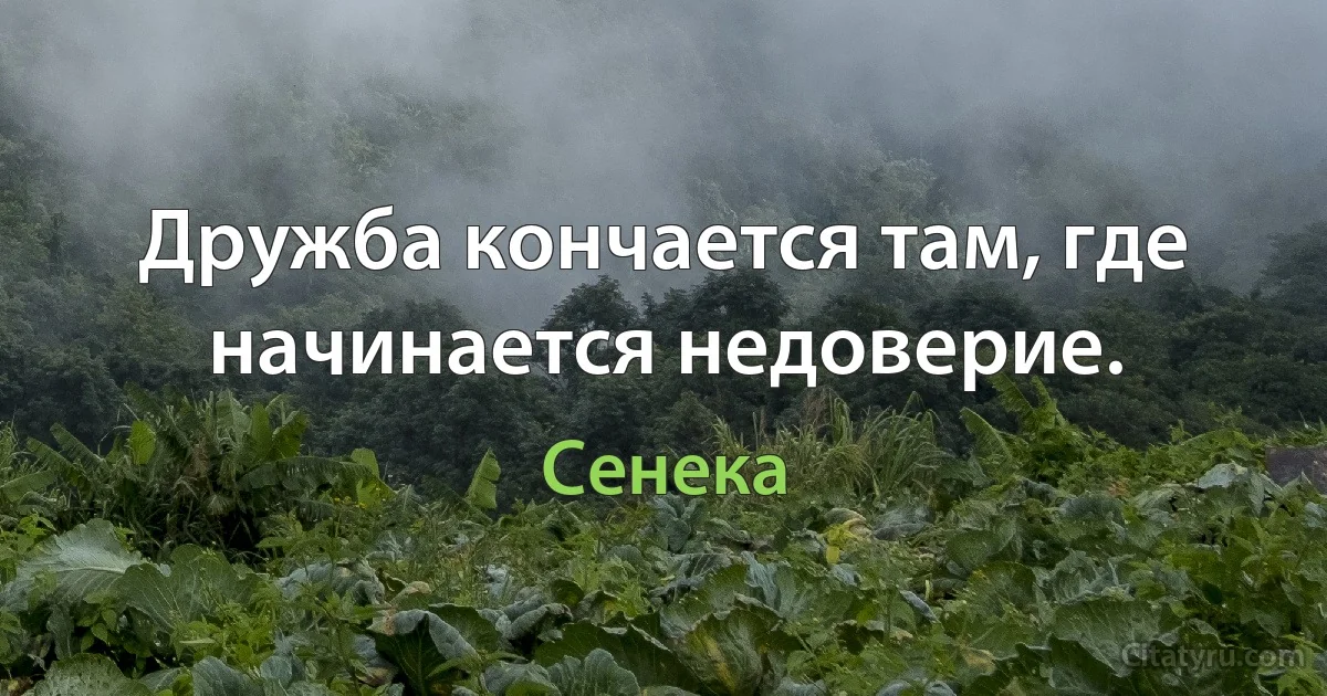 Дружба кончается там, где начинается недоверие. (Сенека)