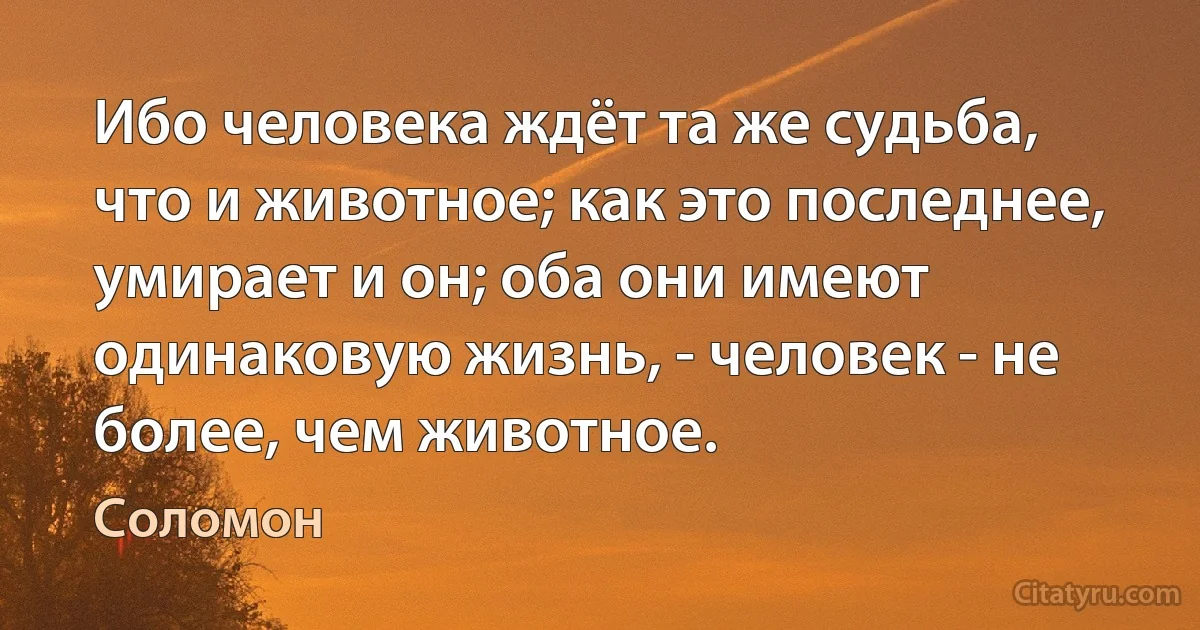 Ибо человека ждёт та же судьба, что и животное; как это последнее, умирает и он; оба они имеют одинаковую жизнь, - человек - не более, чем животное. (Соломон)