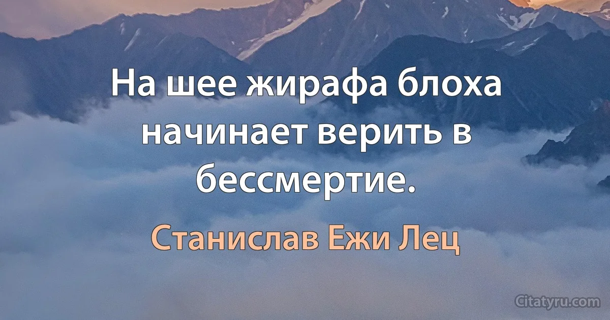 На шее жирафа блоха начинает верить в бессмертие. (Станислав Ежи Лец)