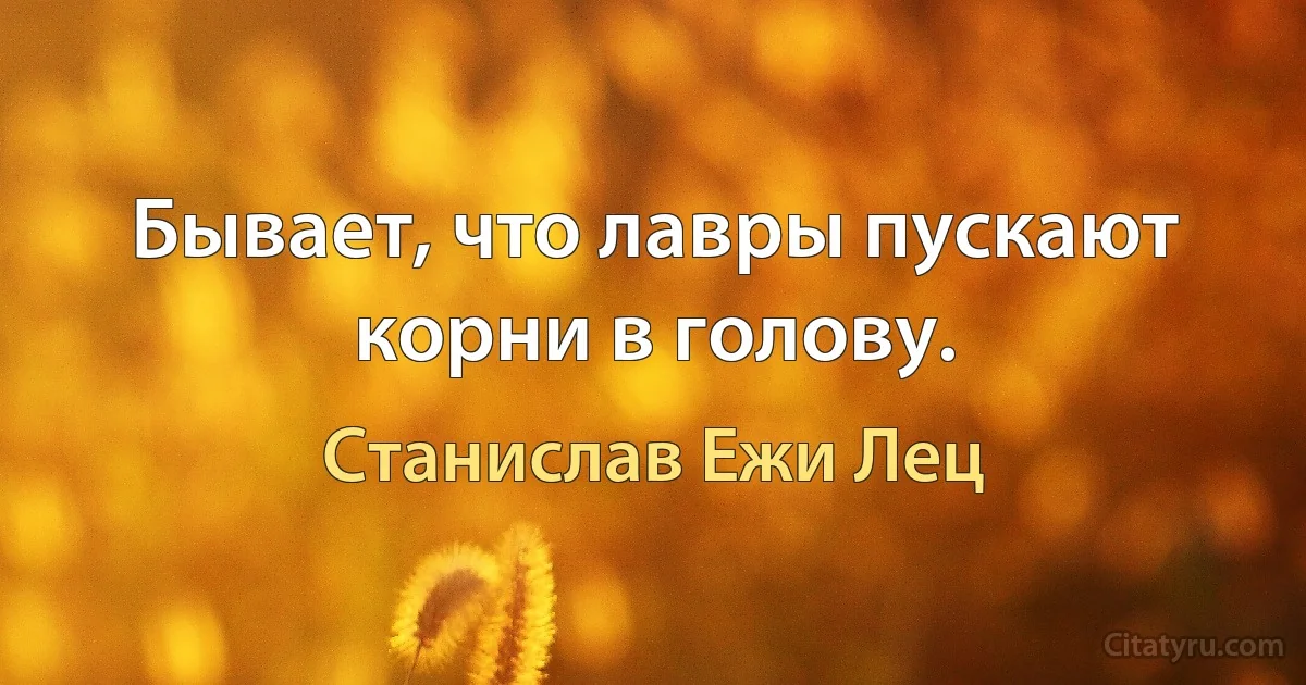 Бывает, что лавры пускают корни в голову. (Станислав Ежи Лец)