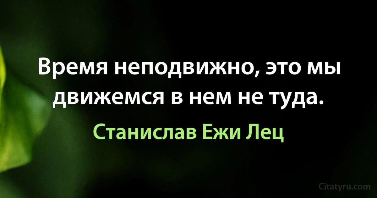 Время неподвижно, это мы движемся в нем не туда. (Станислав Ежи Лец)