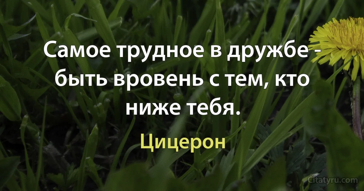 Самое трудное в дружбе - быть вровень с тем, кто ниже тебя. (Цицерон)