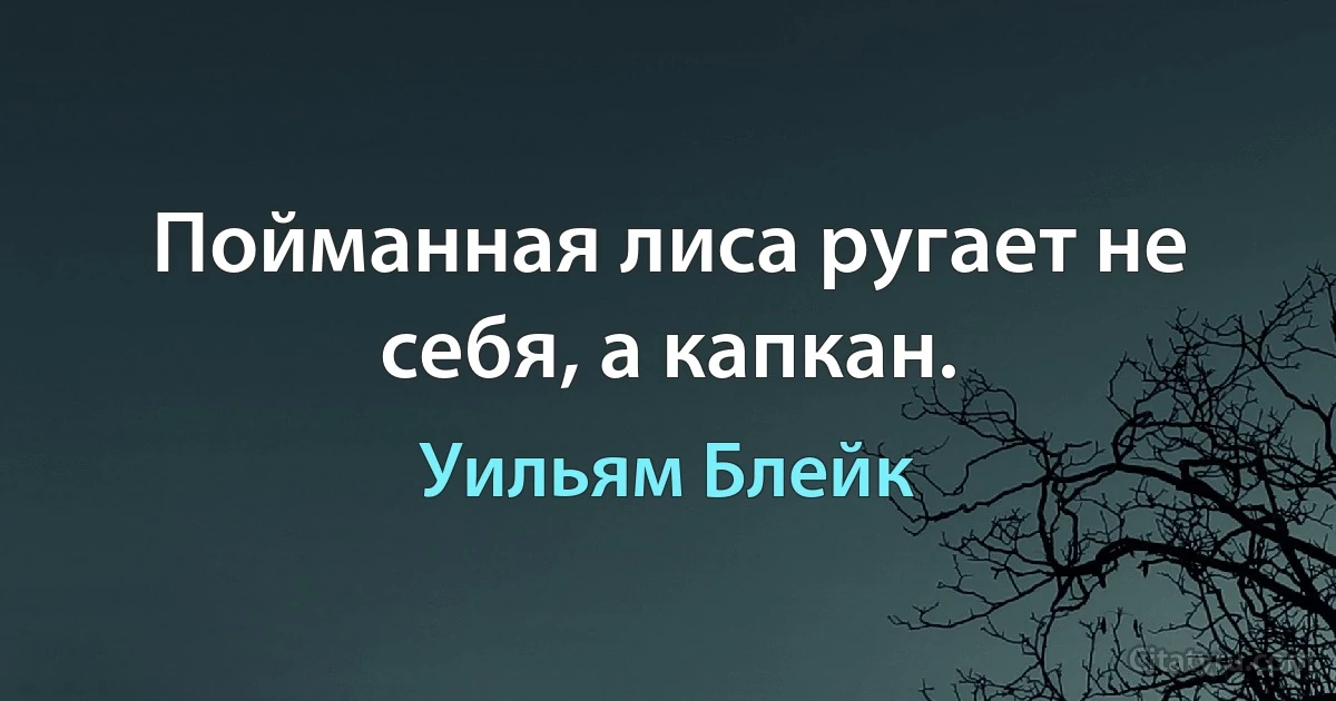 Пойманная лиса ругает не себя, а капкан. (Уильям Блейк)