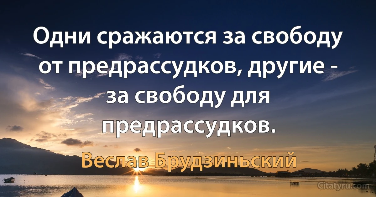 Одни сражаются за свободу от предрассудков, другие - за свободу для предрассудков. (Веслав Брудзиньский)