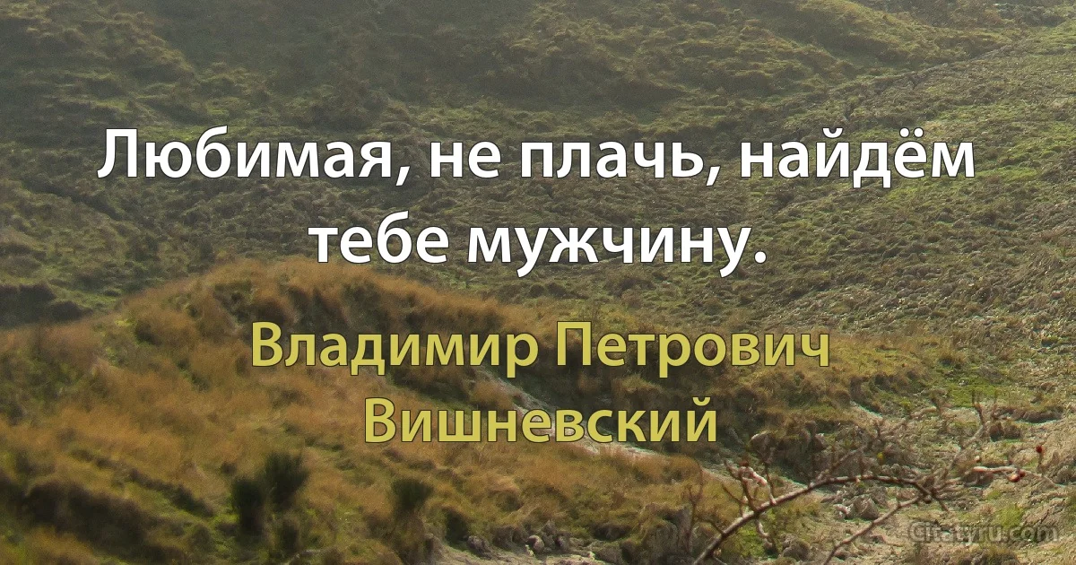 Любимая, не плачь, найдём тебе мужчину. (Владимир Петрович Вишневский)