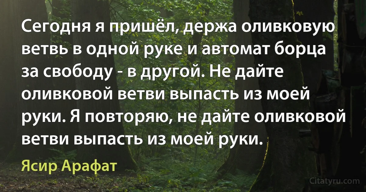 Сегодня я пришёл, держа оливковую ветвь в одной руке и автомат борца за свободу - в другой. Не дайте оливковой ветви выпасть из моей руки. Я повторяю, не дайте оливковой ветви выпасть из моей руки. (Ясир Арафат)