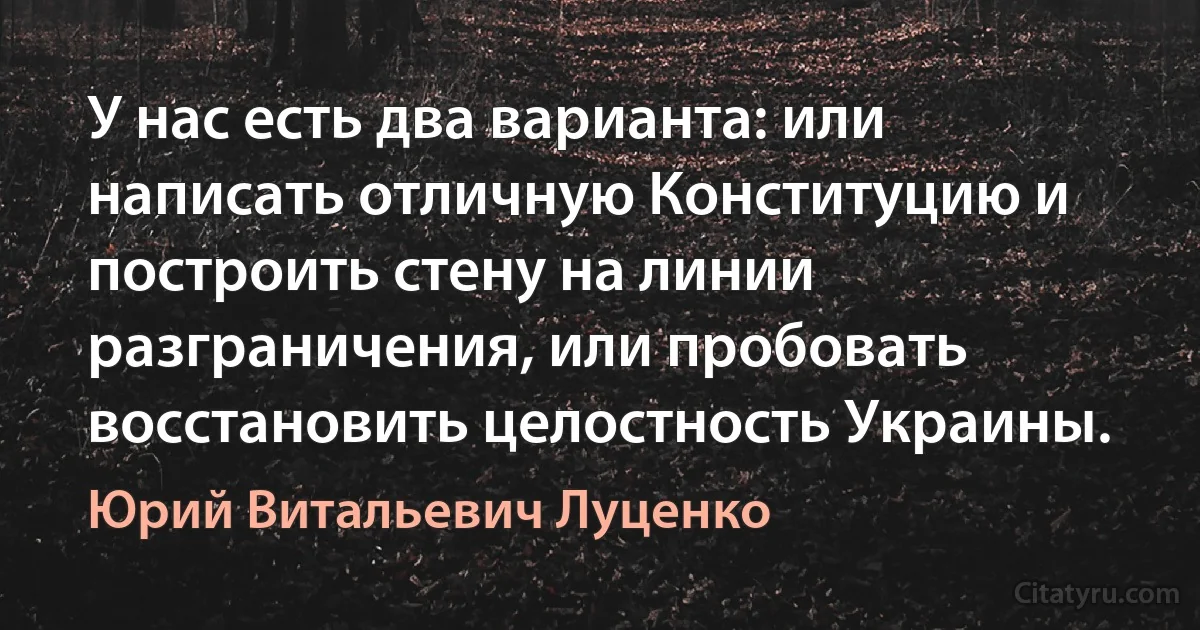 У нас есть два варианта: или написать отличную Конституцию и построить стену на линии разграничения, или пробовать восстановить целостность Украины. (Юрий Витальевич Луценко)