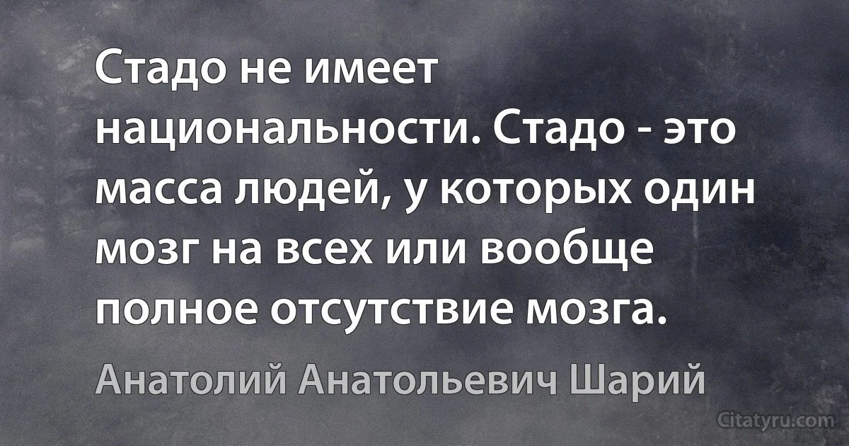 Стадо не имеет национальности. Стадо - это масса людей, у которых один мозг на всех или вообще полное отсутствие мозга. (Анатолий Анатольевич Шарий)