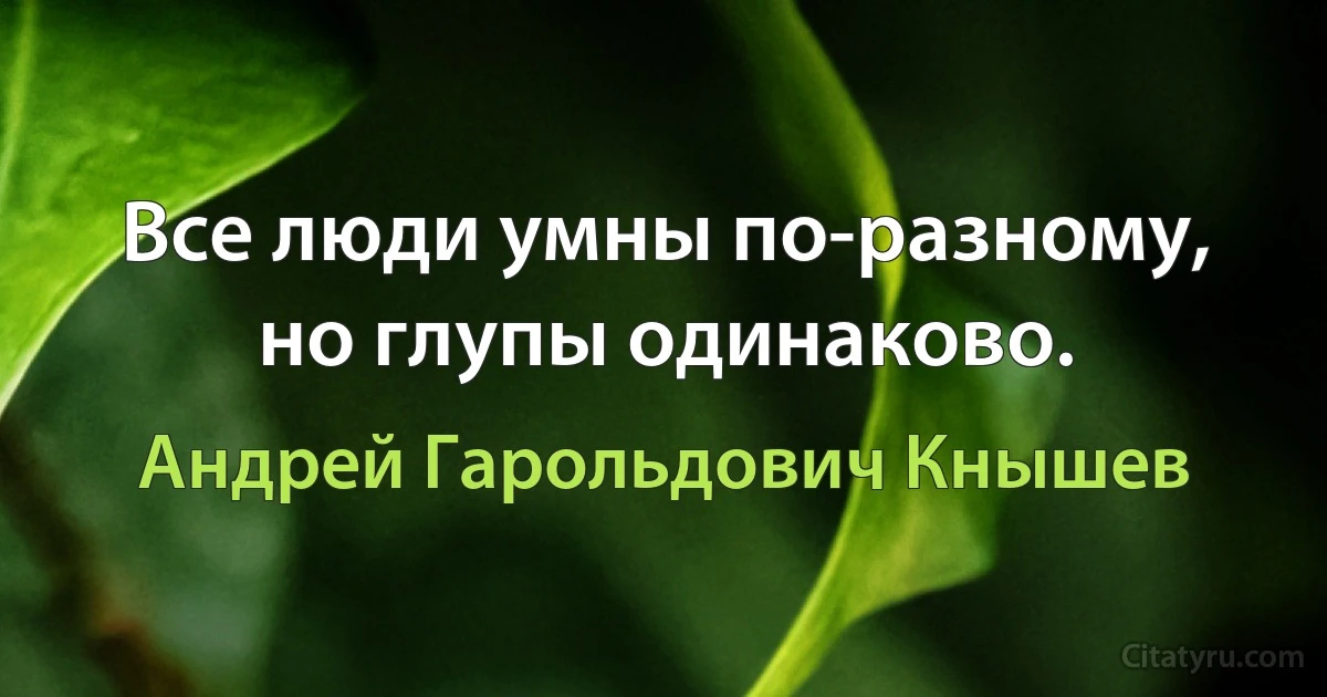 Все люди умны по-разному, но глупы одинаково. (Андрей Гарольдович Кнышев)