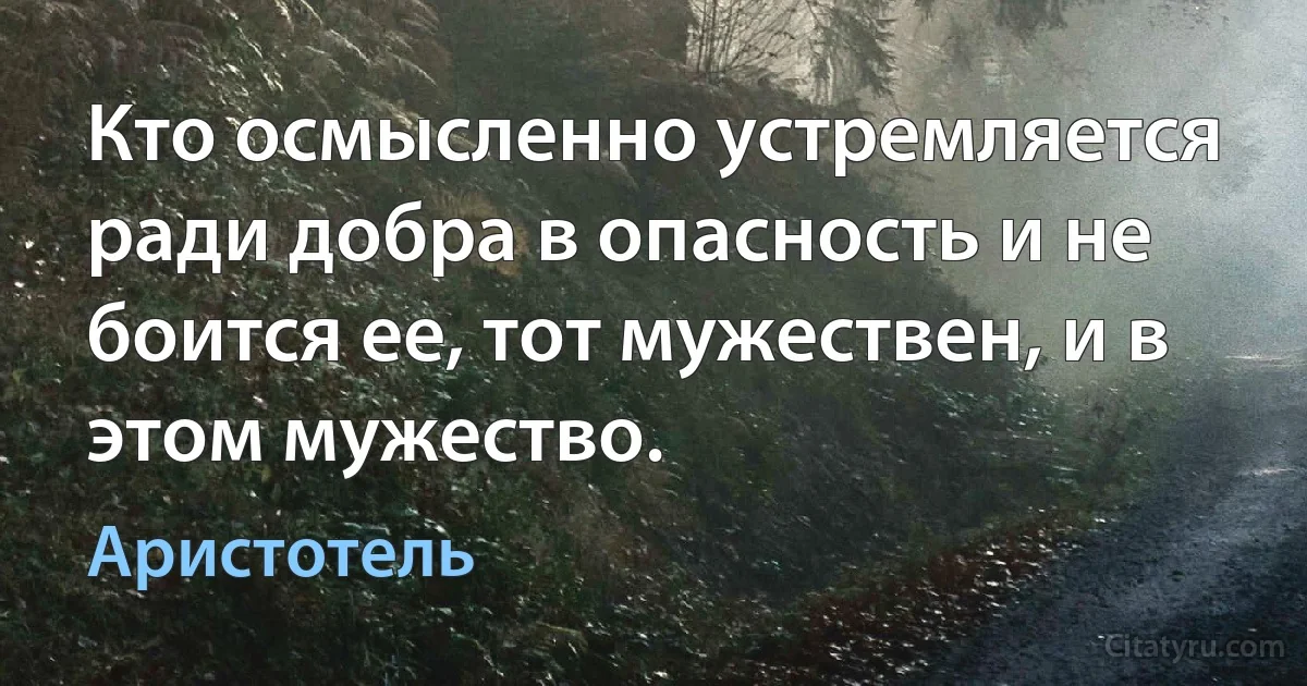 Кто осмысленно устремляется ради добра в опасность и не боится ее, тот мужествен, и в этом мужество. (Аристотель)