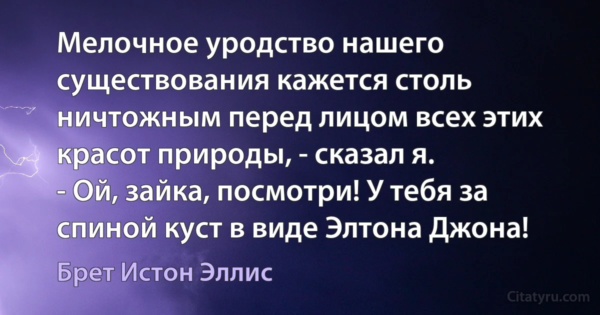 Мелочное уродство нашего существования кажется столь ничтожным перед лицом всех этих красот природы, - сказал я.
- Ой, зайка, посмотри! У тебя за спиной куст в виде Элтона Джона! (Брет Истон Эллис)