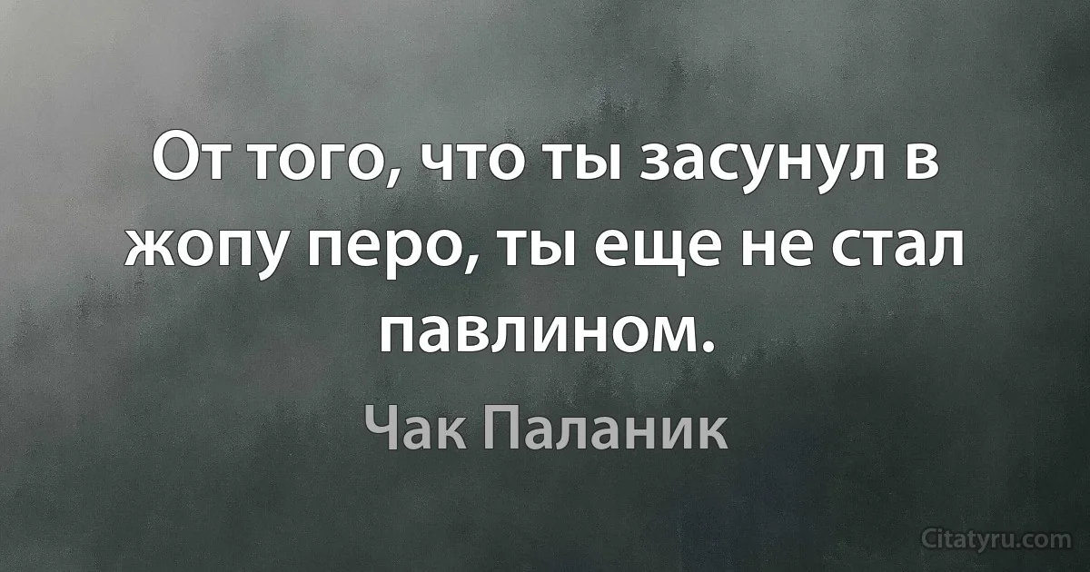 От того, что ты засунул в жопу перо, ты еще не стал павлином. (Чак Паланик)