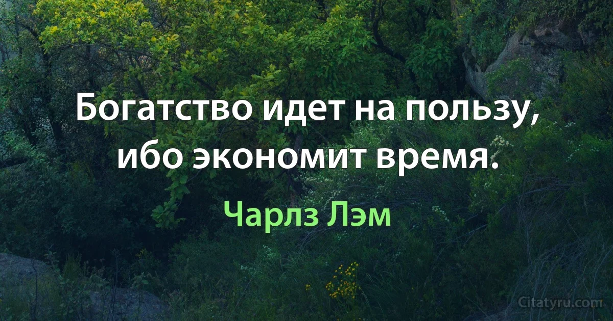 Богатство идет на пользу, ибо экономит время. (Чарлз Лэм)