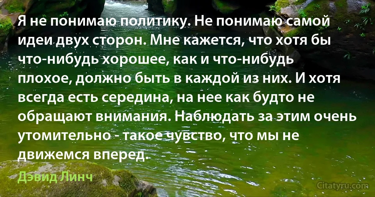 Я не понимаю политику. Не понимаю самой идеи двух сторон. Мне кажется, что хотя бы что-нибудь хорошее, как и что-нибудь плохое, должно быть в каждой из них. И хотя всегда есть середина, на нее как будто не обращают внимания. Наблюдать за этим очень утомительно - такое чувство, что мы не движемся вперед. (Дэвид Линч)