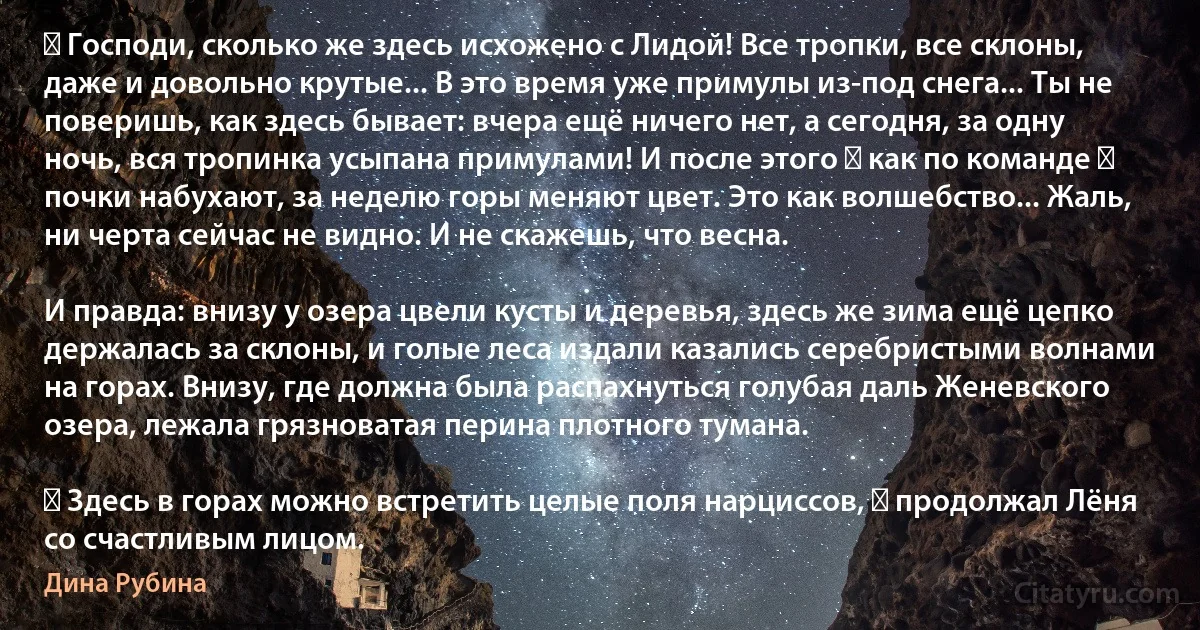 ― Господи, сколько же здесь исхожено с Лидой! Все тропки, все склоны, даже и довольно крутые... В это время уже примулы из-под снега... Ты не поверишь, как здесь бывает: вчера ещё ничего нет, а сегодня, за одну ночь, вся тропинка усыпана примулами! И после этого ― как по команде ― почки набухают, за неделю горы меняют цвет. Это как волшебство... Жаль, ни черта сейчас не видно. И не скажешь, что весна.

И правда: внизу у озера цвели кусты и деревья, здесь же зима ещё цепко держалась за склоны, и голые леса издали казались серебристыми волнами на горах. Внизу, где должна была распахнуться голубая даль Женевского озера, лежала грязноватая перина плотного тумана.

― Здесь в горах можно встретить целые поля нарциссов, ― продолжал Лёня со счастливым лицом. (Дина Рубина)