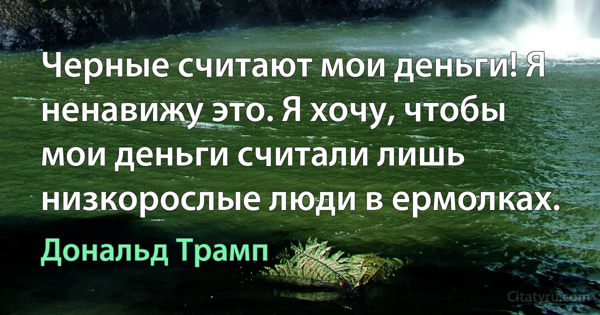 Черные считают мои деньги! Я ненавижу это. Я хочу, чтобы мои деньги считали лишь низкорослые люди в ермолках. (Дональд Трамп)