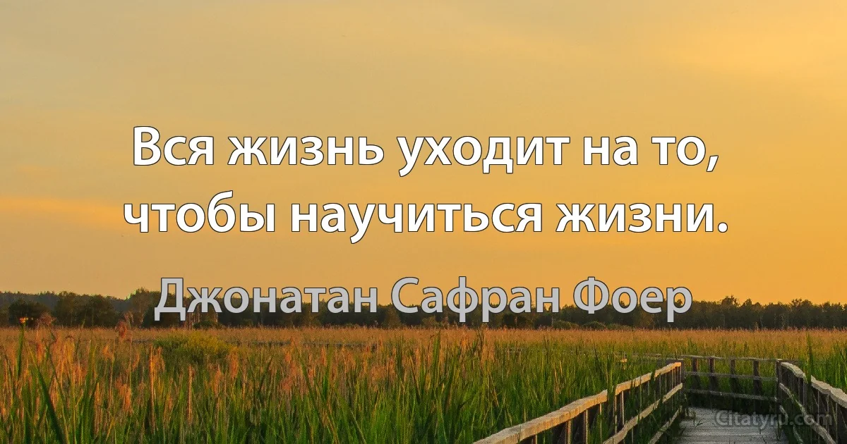 Вся жизнь уходит на то, чтобы научиться жизни. (Джонатан Сафран Фоер)