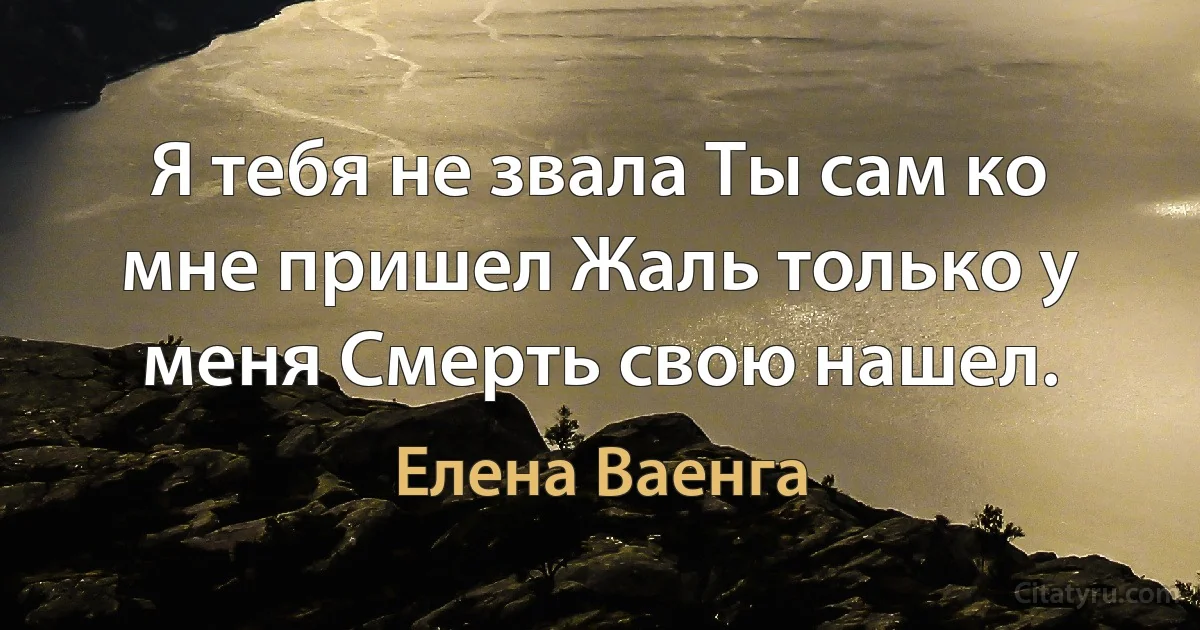 Я тебя не звала Ты сам ко мне пришел Жаль только у меня Смерть свою нашел. (Елена Ваенга)