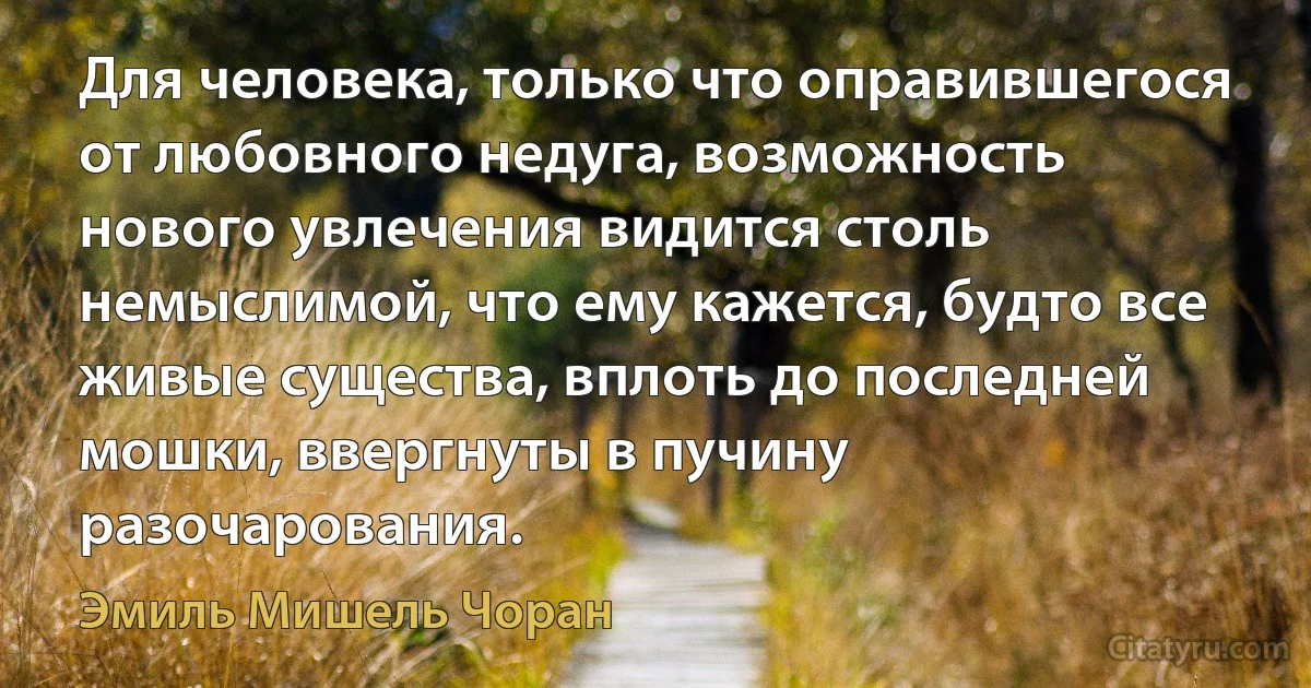 Для человека, только что оправившегося от любовного недуга, возможность нового увлечения видится столь немыслимой, что ему кажется, будто все живые существа, вплоть до последней мошки, ввергнуты в пучину разочарования. (Эмиль Мишель Чоран)