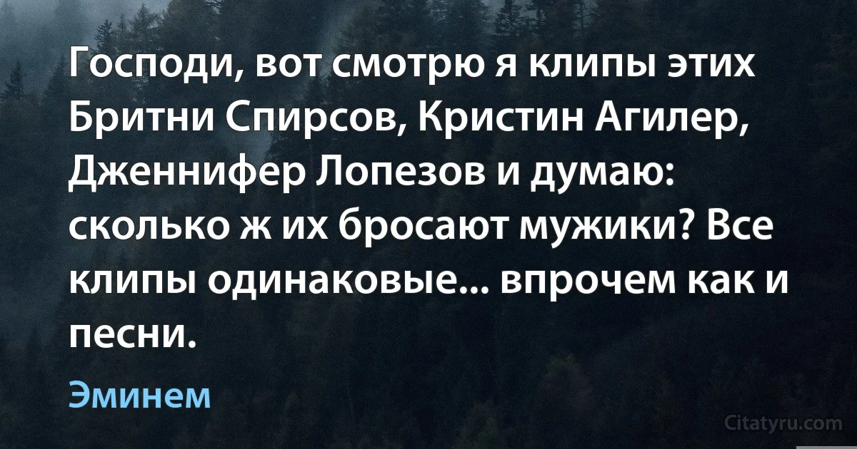 Господи, вот смотрю я клипы этих Бритни Спирсов, Кристин Агилер, Дженнифер Лопезов и думаю: сколько ж их бросают мужики? Все клипы одинаковые... впрочем как и песни. (Эминем)