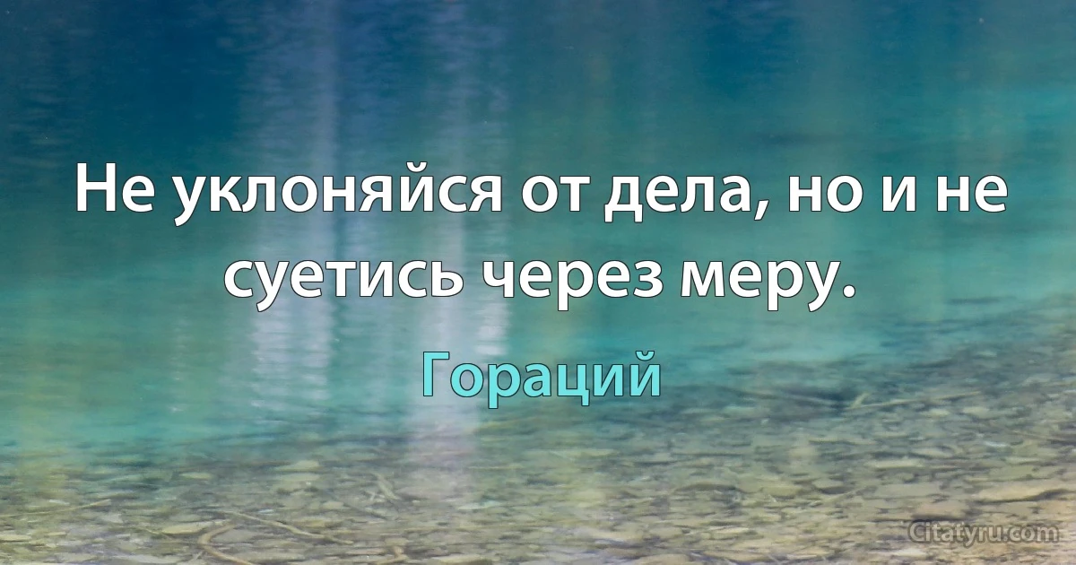 Не уклоняйся от дела, но и не суетись через меру. (Гораций)