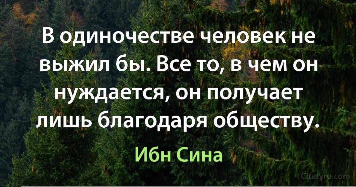 В одиночестве человек не выжил бы. Все то, в чем он нуждается, он получает лишь благодаря обществу. (Ибн Сина)