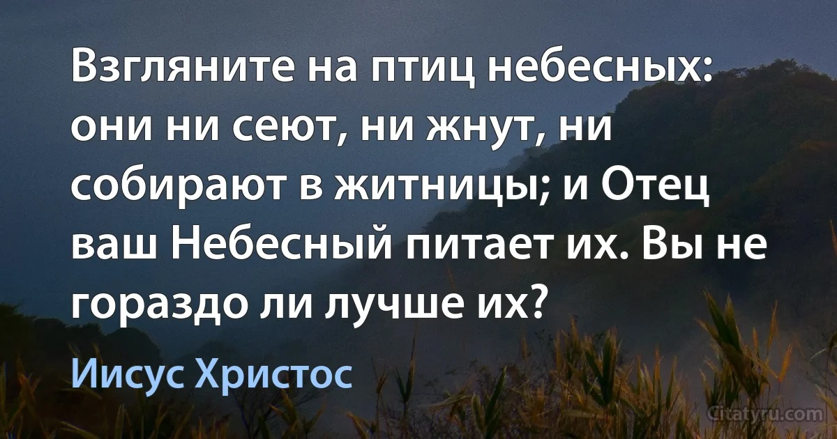 Взгляните на птиц небесных: они ни сеют, ни жнут, ни собирают в житницы; и Отец ваш Небесный питает их. Вы не гораздо ли лучше их? (Иисус Христос)