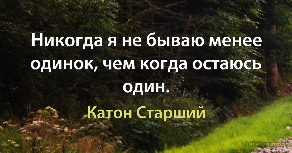 Никогда я не бываю менее одинок, чем когда остаюсь один. (Катон Старший)