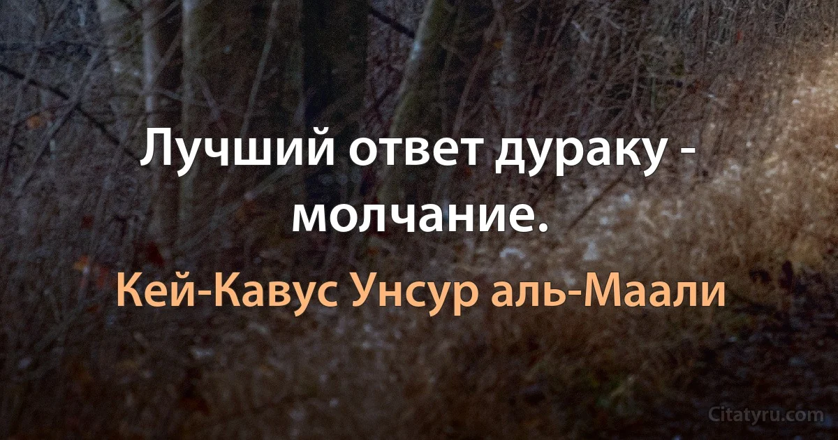 Лучший ответ дураку - молчание. (Кей-Кавус Унсур аль-Маали)